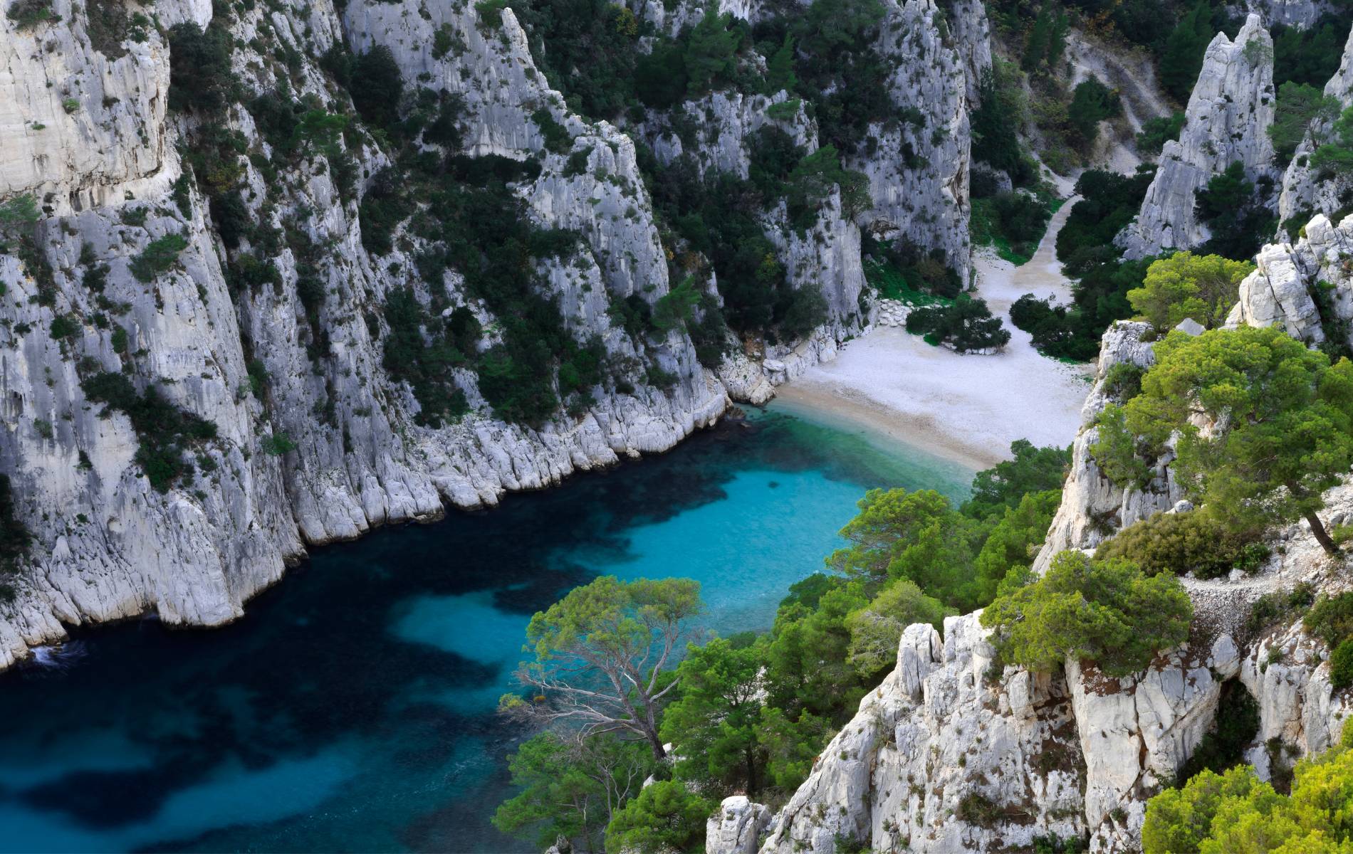 calanques de marseille sea'u experience promenade en mer